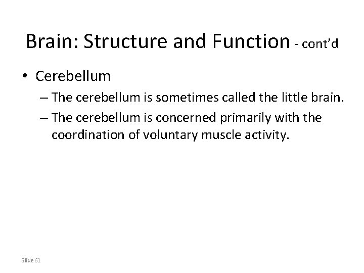 Brain: Structure and Function - cont’d • Cerebellum – The cerebellum is sometimes called