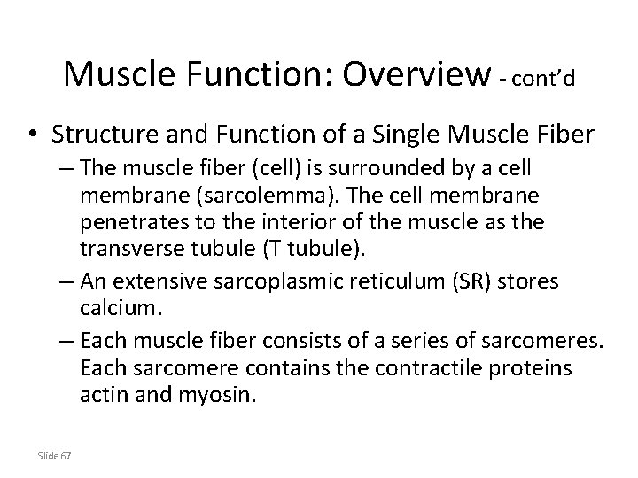 Muscle Function: Overview - cont’d • Structure and Function of a Single Muscle Fiber