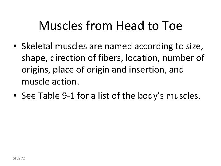 Muscles from Head to Toe • Skeletal muscles are named according to size, shape,