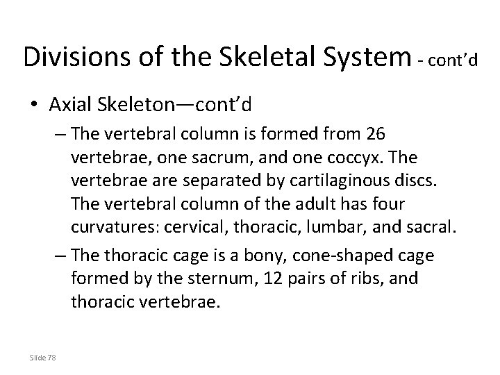 Divisions of the Skeletal System - cont’d • Axial Skeleton—cont’d – The vertebral column