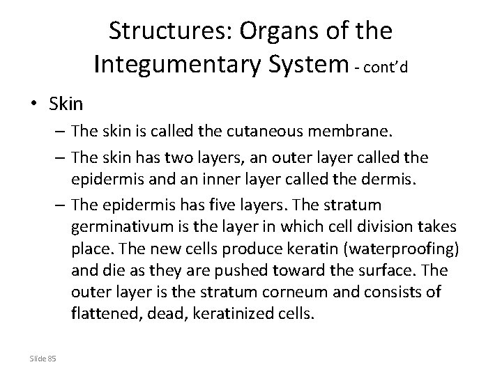 Structures: Organs of the Integumentary System - cont’d • Skin – The skin is