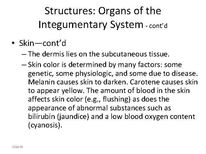 Structures: Organs of the Integumentary System - cont’d • Skin—cont’d – The dermis lies