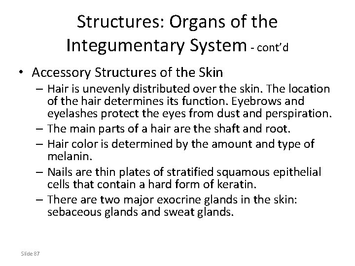 Structures: Organs of the Integumentary System - cont’d • Accessory Structures of the Skin