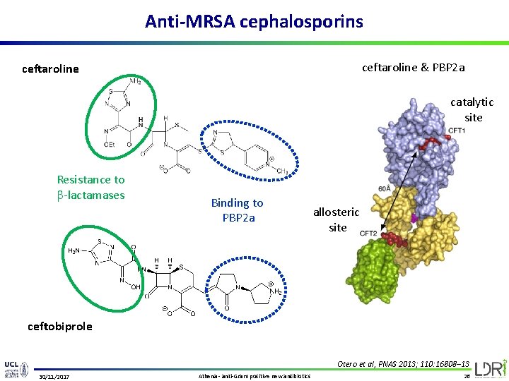 Anti-MRSA cephalosporins ceftaroline & PBP 2 a ceftaroline catalytic site Resistance to -lactamases Binding