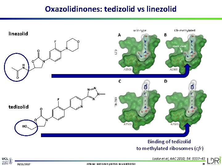 Oxazolidinones: tedizolid vs linezolid tedizolid Binding of tedizolid to methylated ribosomes (cfr) Locke et