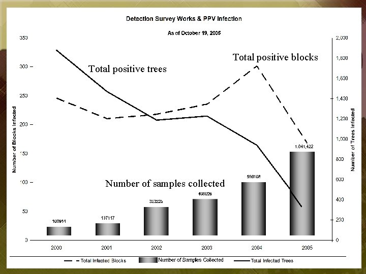 Total positive blocks Total positive trees Number of samples collected 