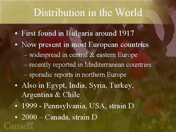 Distribution in the World • First found in Bulgaria around 1917 • Now present