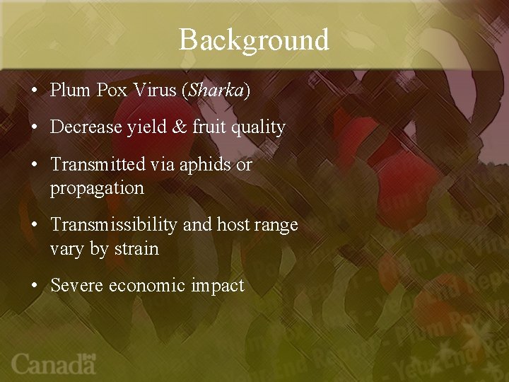 Background • Plum Pox Virus (Sharka) • Decrease yield & fruit quality • Transmitted