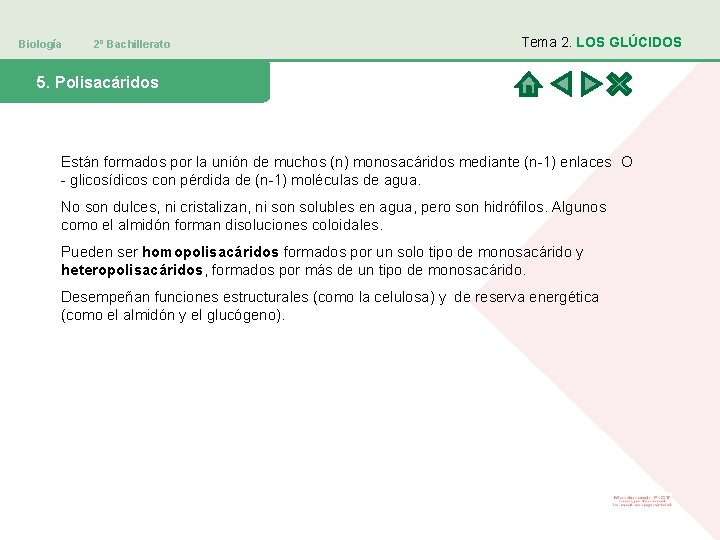 Biología 2º Bachillerato Tema 2. LOS GLÚCIDOS 5. Polisacáridos Están formados por la unión