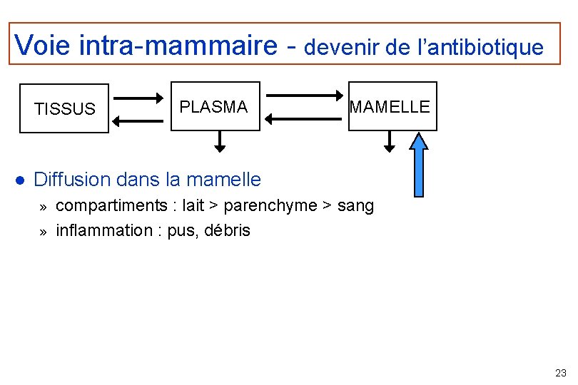 Voie intra-mammaire - devenir de l’antibiotique TISSUS l PLASMA MAMELLE Diffusion dans la mamelle