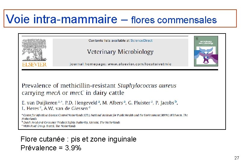 Voie intra-mammaire – flores commensales Flore cutanée : pis et zone inguinale Prévalence =