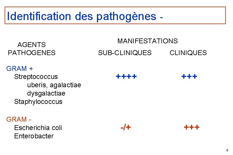 Identification des pathogènes AGENTS PATHOGENES GRAM + Streptococcus uberis, agalactiae dysgalactiae Staphylococcus GRAM Escherichia