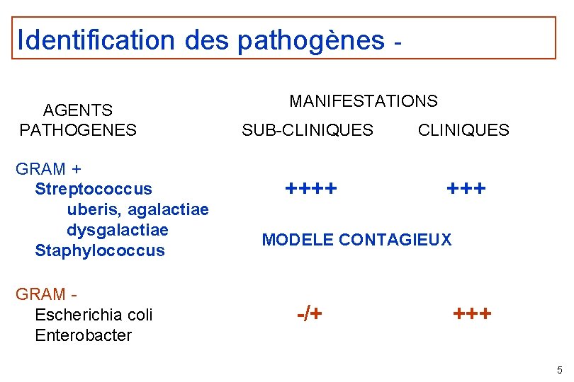 Identification des pathogènes AGENTS PATHOGENES GRAM + Streptococcus uberis, agalactiae dysgalactiae Staphylococcus GRAM Escherichia