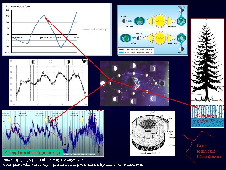 Zamykanie porów ? Potencjał pola elektomagnetycznego Drewno łączy się z polem elektromagnetycznym Ziemi. Woda