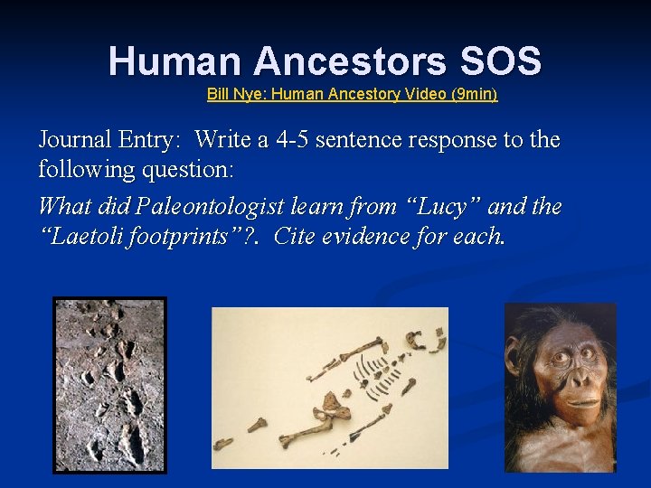 Human Ancestors SOS Bill Nye: Human Ancestory Video (9 min) Journal Entry: Write a