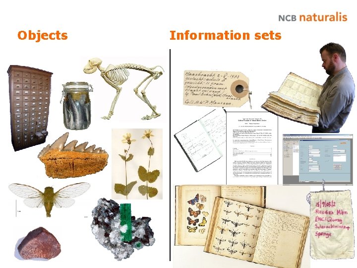 Objects objecten Information sets Informatie sets 