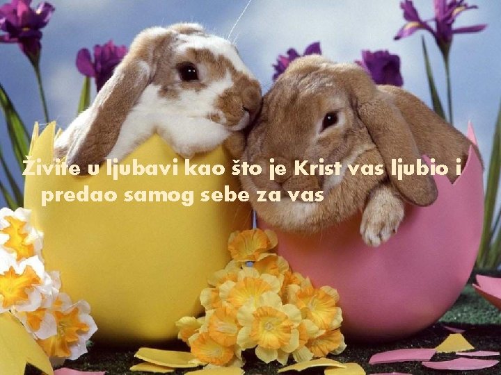 Živite u ljubavi kao što je Krist vas ljubio i predao samog sebe za