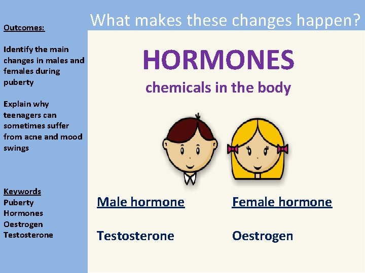 Outcomes: Identify the main changes in males and females during puberty What makes these