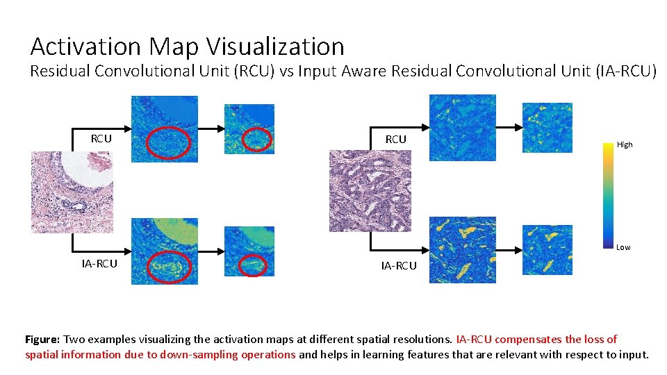 Activation Map Visualization Residual Convolutional Unit (RCU) vs Input Aware Residual Convolutional Unit (IA-RCU) Activation Map Visualization Residual Convolutional Unit (RCU) vs Input Aware Residual Convolutional Unit (IA-RCU)