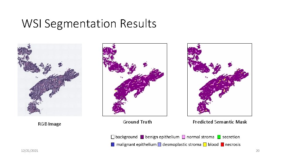 WSI Segmentation Results RGB Image 12/21/2021 Ground Truth Predicted Semantic Mask 20 WSI Segmentation Results RGB Image 12/21/2021 Ground Truth Predicted Semantic Mask 20