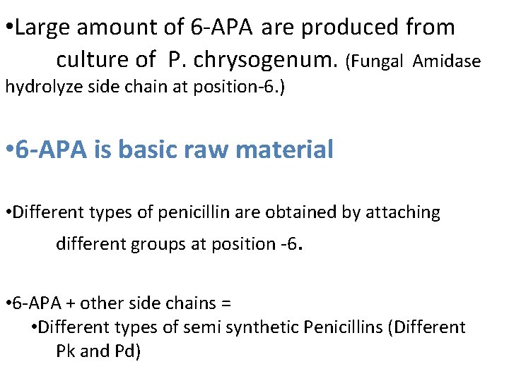  • Large amount of 6 -APA are produced from culture of P. chrysogenum.