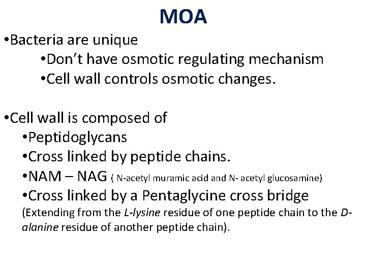 MOA • Bacteria are unique • Don’t have osmotic regulating mechanism • Cell wall