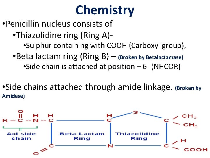 Chemistry • Penicillin nucleus consists of • Thiazolidine ring (Ring A)- • Sulphur containing