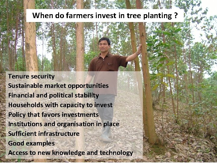 When do farmers invest in tree planting ? Tenure security Sustainable market opportunities Financial
