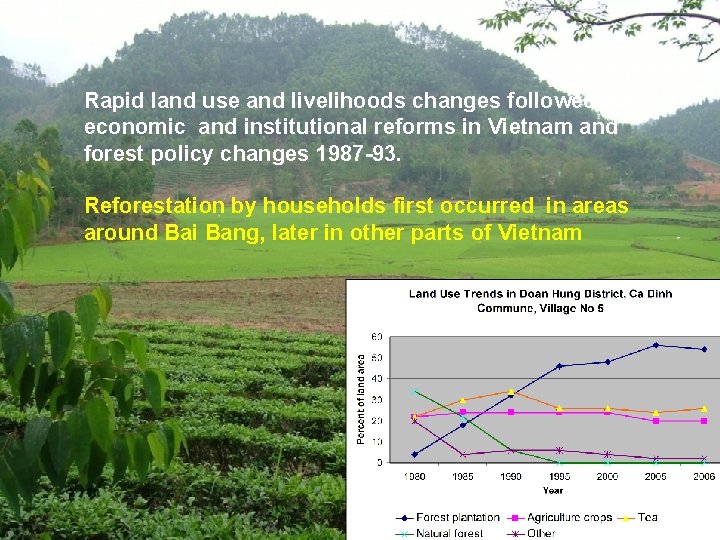 Rapid land use and livelihoods changes followed the economic and institutional reforms in Vietnam