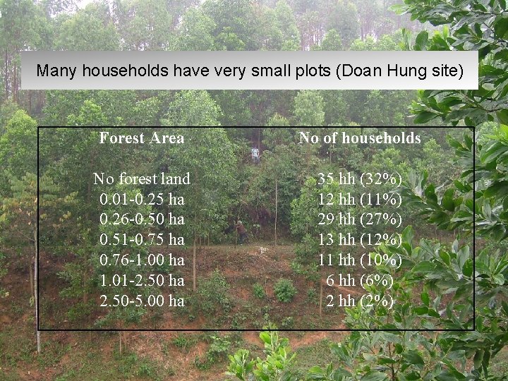 Many households have very small plots (Doan Hung site) Forest Area No of households