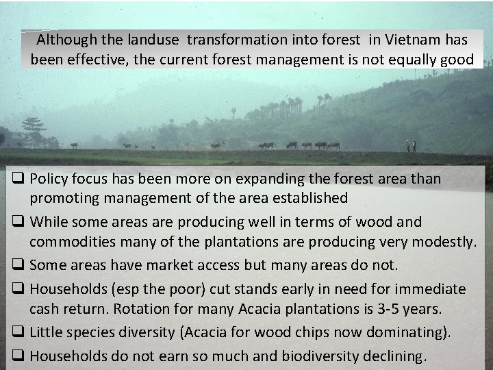 Although the landuse transformation into forest in Vietnam has been effective, the current forest