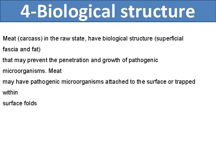 4 -Biological structure Meat (carcass) in the raw state, have biological structure (superficial fascia