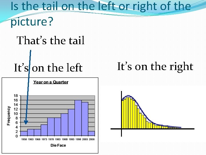 Is the tail on the left or right of the picture? That’s the tail