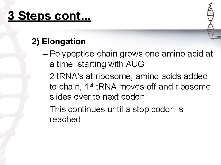 Protein Synthesis The Central Dogma of Biology Refers