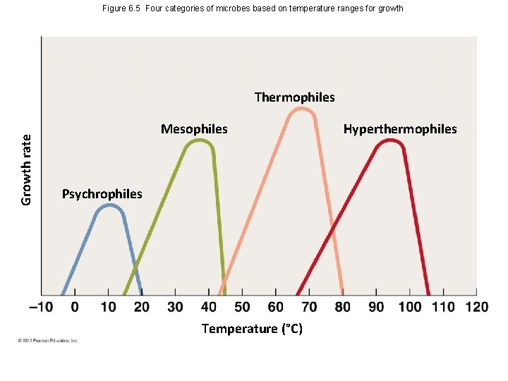 Figure 6. 5 Four categories of microbes based on temperature ranges for growth Growth
