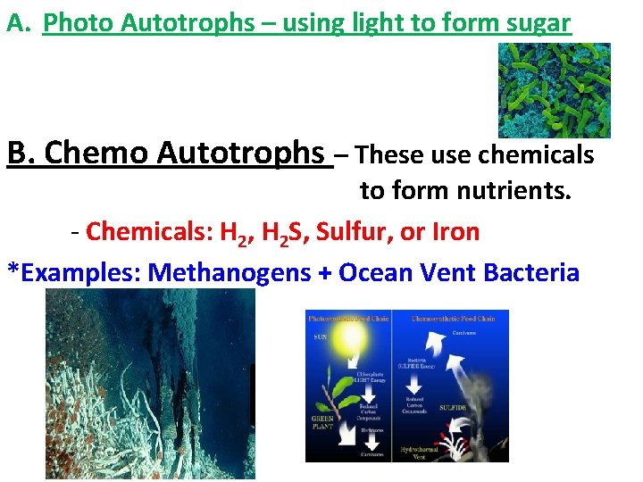 A. Photo Autotrophs – using light to form sugar B. Chemo Autotrophs – These