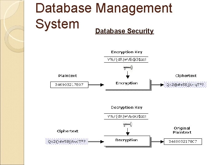 Database Management System Database Security 