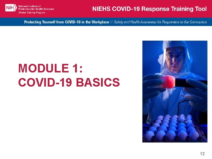 MODULE 1: COVID-19 BASICS 12 