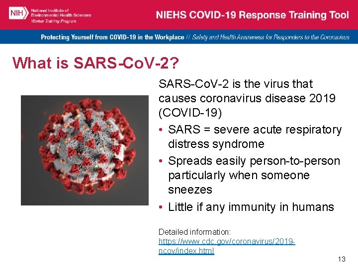 What is SARS-Co. V-2? SARS-Co. V-2 is the virus that causes coronavirus disease 2019