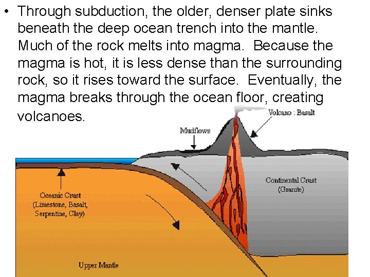  • Through subduction, the older, denser plate sinks beneath the deep ocean trench