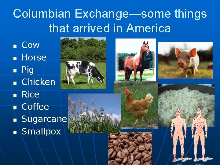 Columbian Exchange—some things that arrived in America n n n n Cow Horse Pig