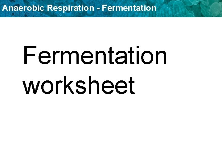 Anaerobic Respiration - Fermentation worksheet 