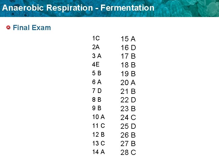 Anaerobic Respiration - Fermentation Final Exam 1 C 2 A 3 A 4 E