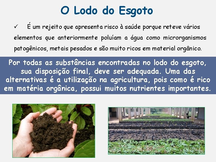 O Lodo do Esgoto ü É um rejeito que apresenta risco à saúde porque