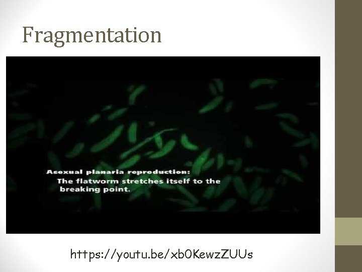 Fragmentation https: //youtu. be/xb 0 Kewz. ZUUs 