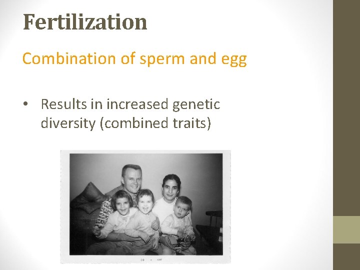 Fertilization Combination of sperm and egg • Results in increased genetic diversity (combined traits)