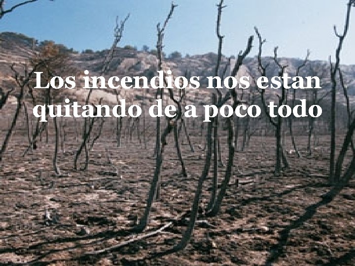 Los incendios nos estan quitando de a poco todo 