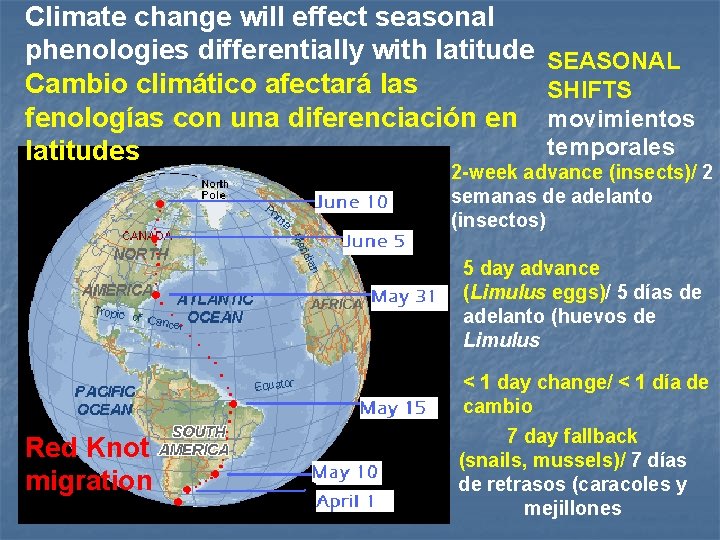 Climate change will effect seasonal phenologies differentially with latitude Cambio climático afectará las fenologías