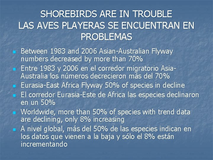 SHOREBIRDS ARE IN TROUBLE LAS AVES PLAYERAS SE ENCUENTRAN EN PROBLEMAS n n n