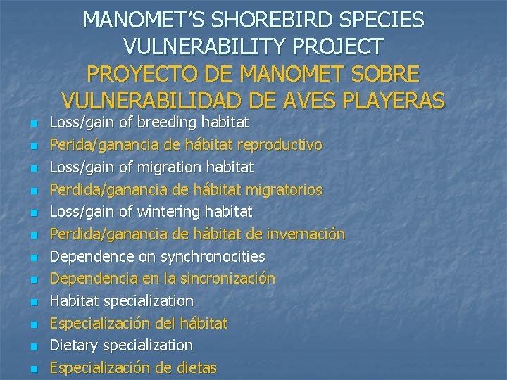 MANOMET’S SHOREBIRD SPECIES VULNERABILITY PROJECT PROYECTO DE MANOMET SOBRE VULNERABILIDAD DE AVES PLAYERAS n